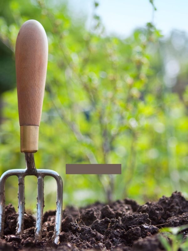 White We love Gardening Instagram Story White We love Gardening Instagram Story