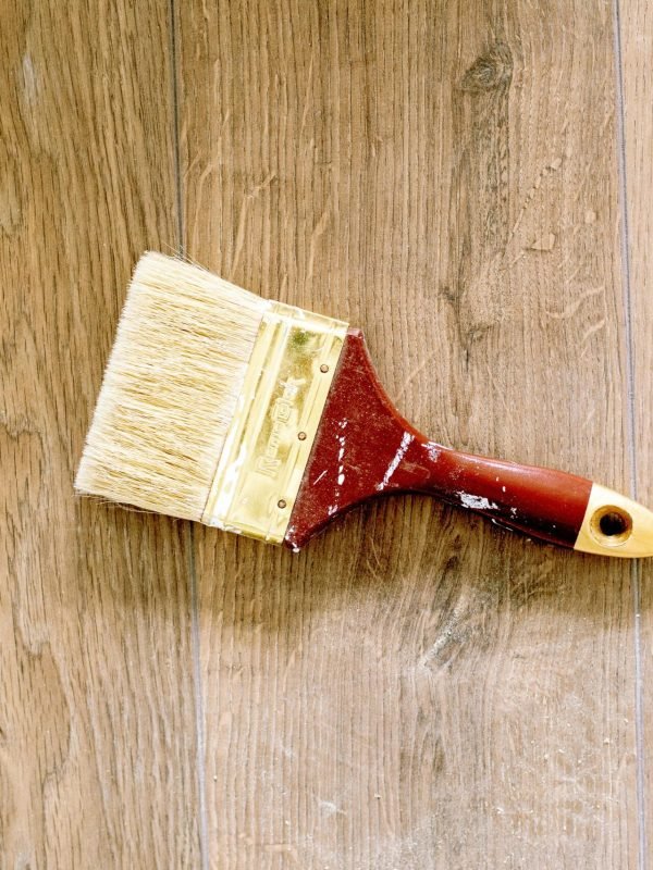 pexels-lamiko-3615730 pexels-lamiko-3615730